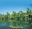 Churches in Goa