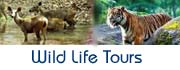 Rajasthan Wild Parks & Sanctuaries